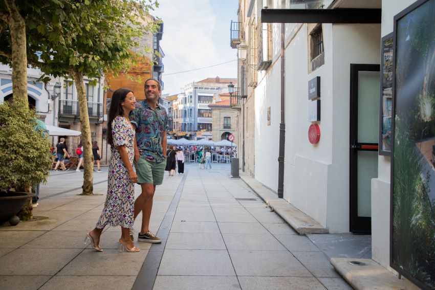 Acceso peatonal a palacio 