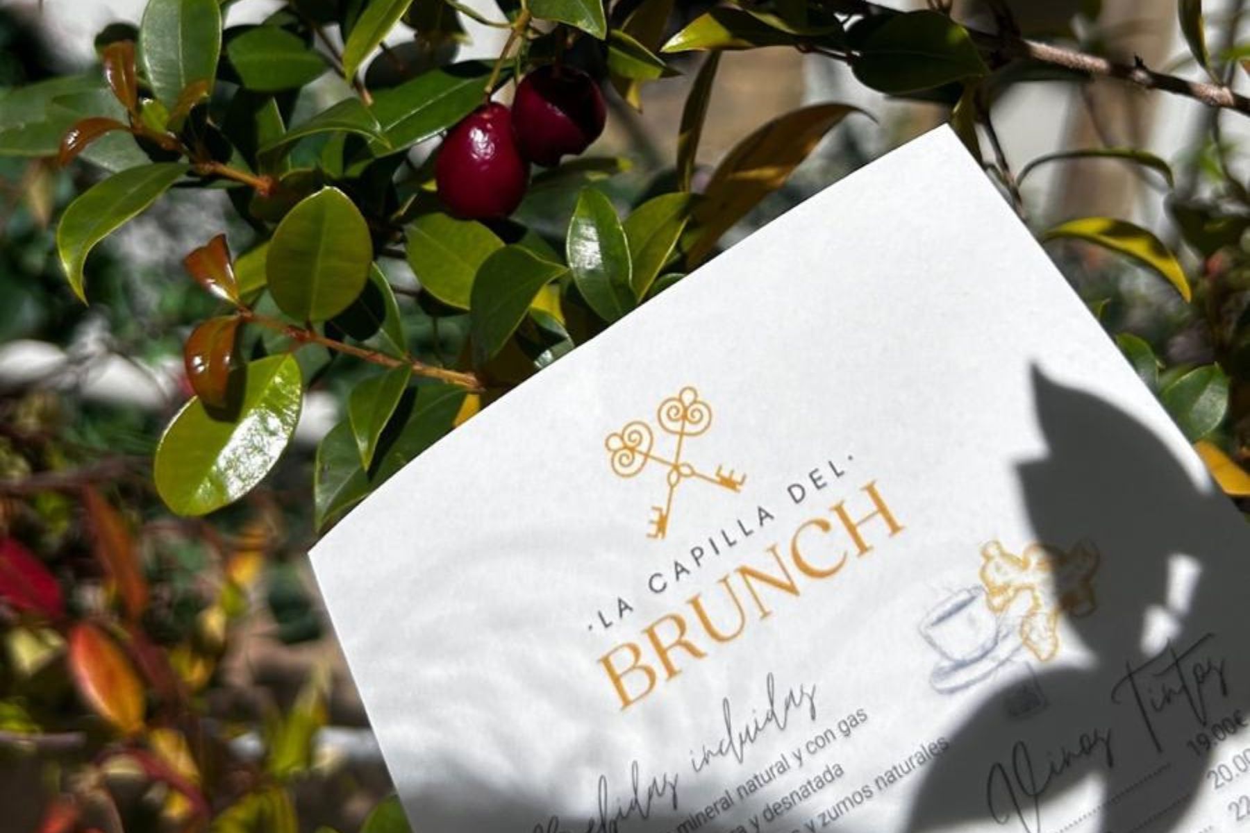 regresa el brunch